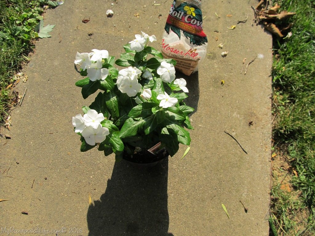 Krylon ColorMaster Challenge 24 in 24 My Repurposed Life®