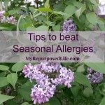 fight-allergy-tips-featured