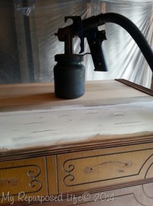 finish-max-pro-paint-sprayer.jpg