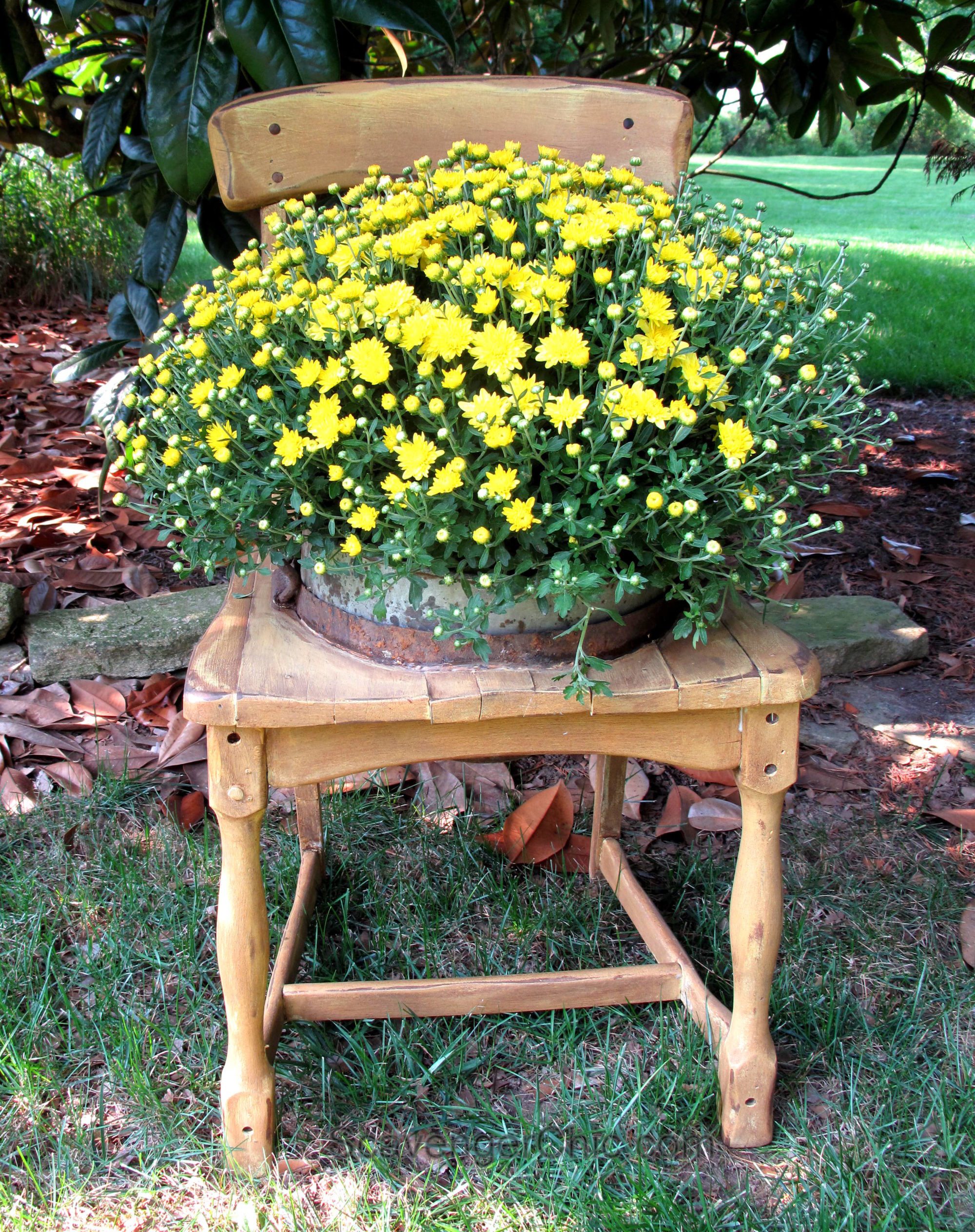chair planter
