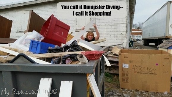 you call it dumpster diving