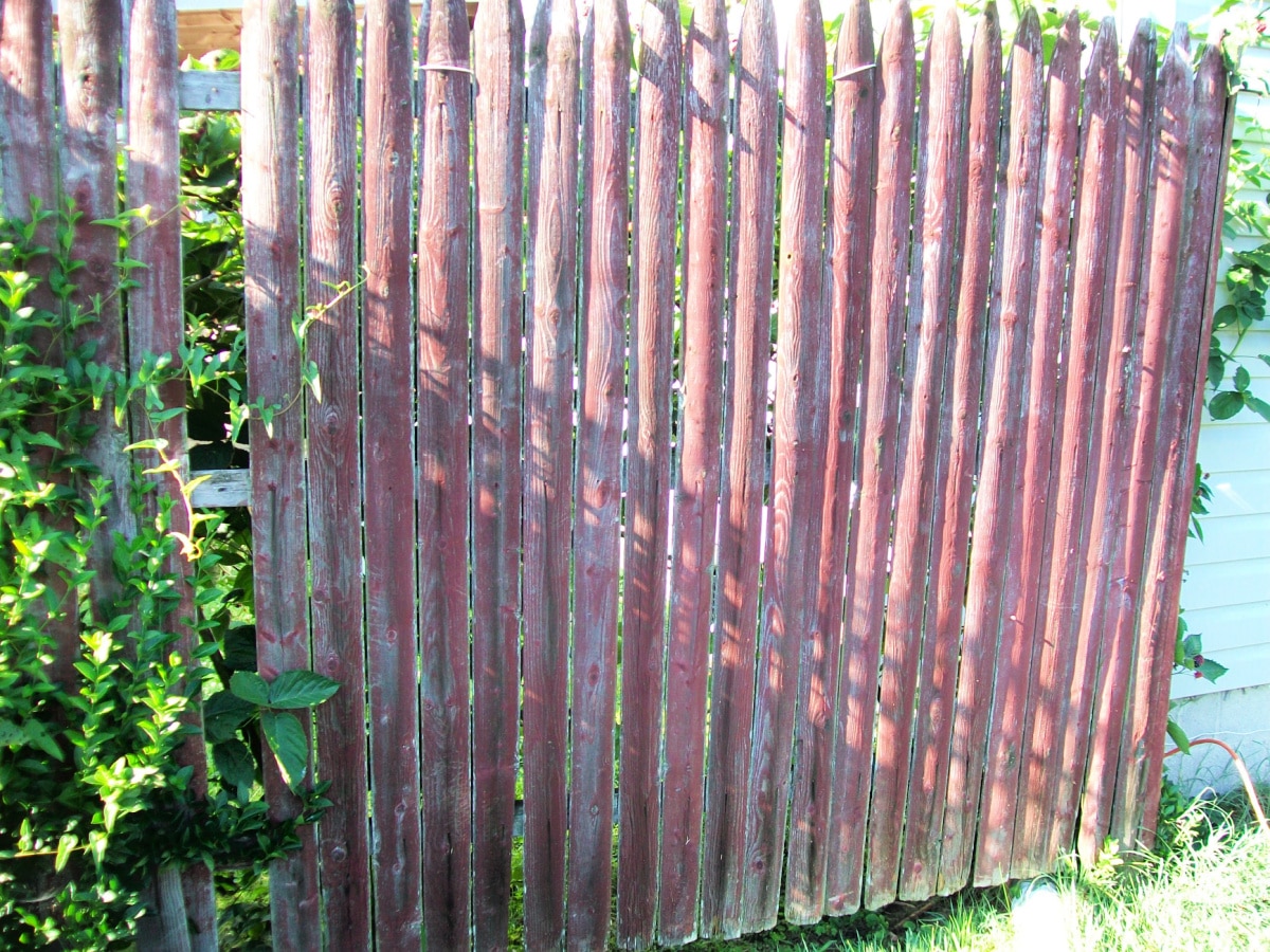 reclaimed stockade privacy fence