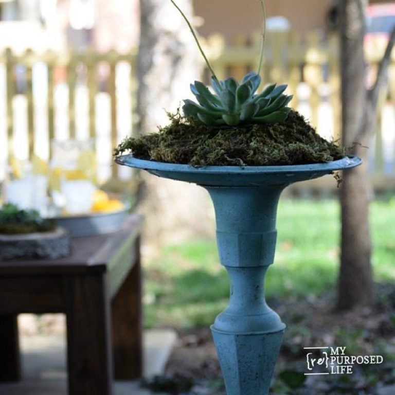 DIY Birdbath (update)