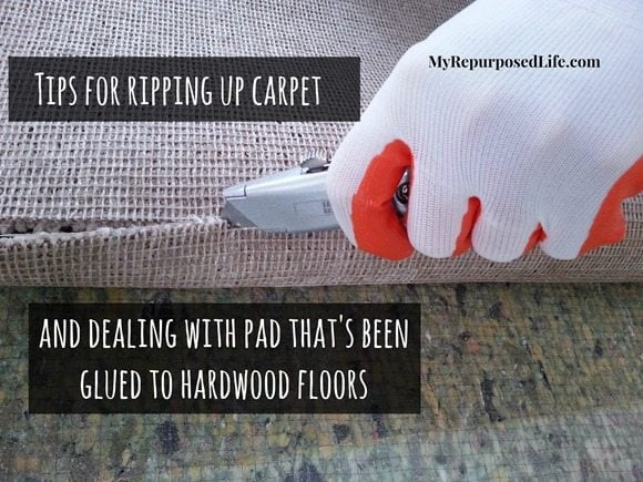 ripping-up-carpet-glued-padding