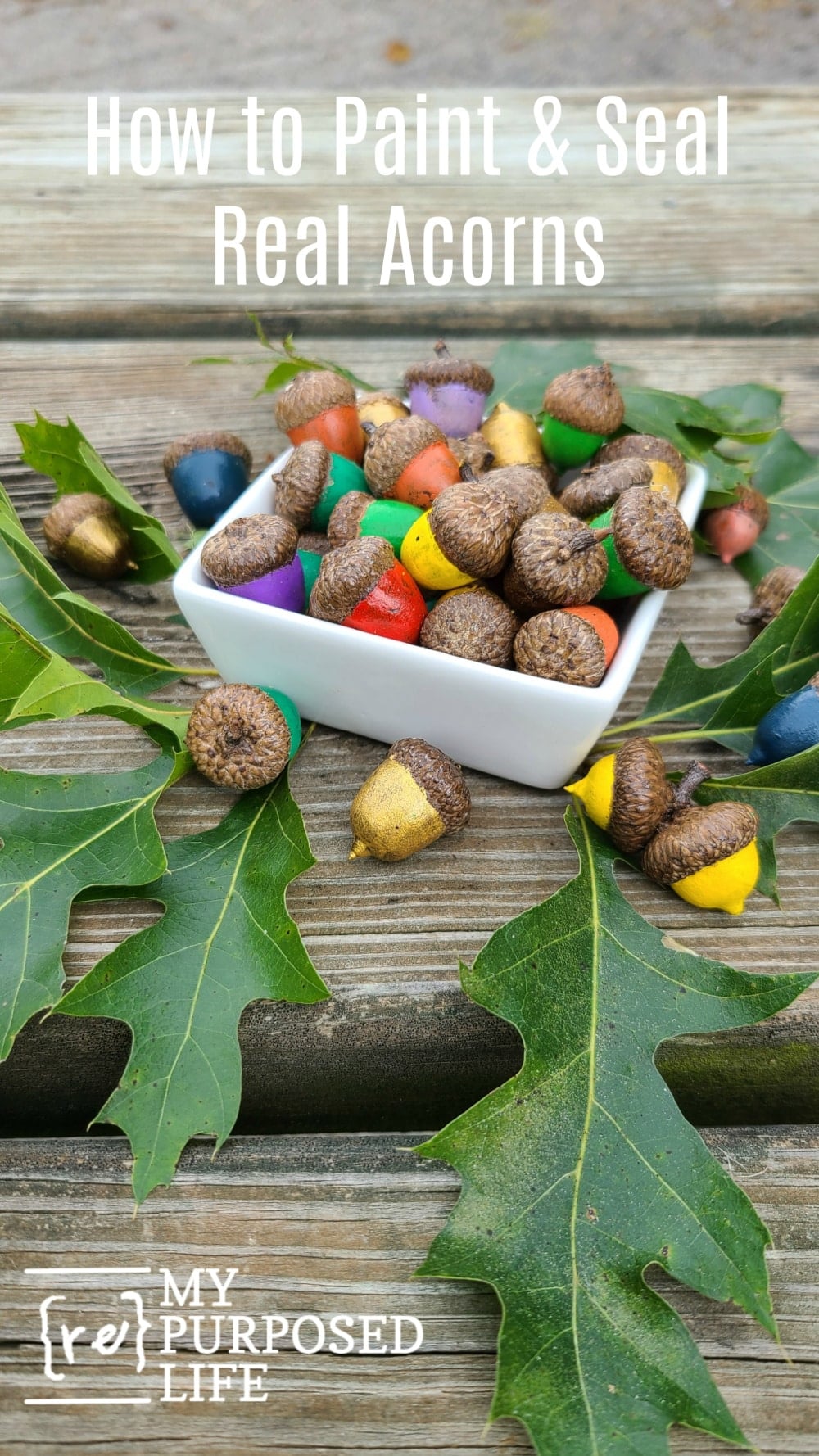 how to paint and seal acorns MyRepurposedLife