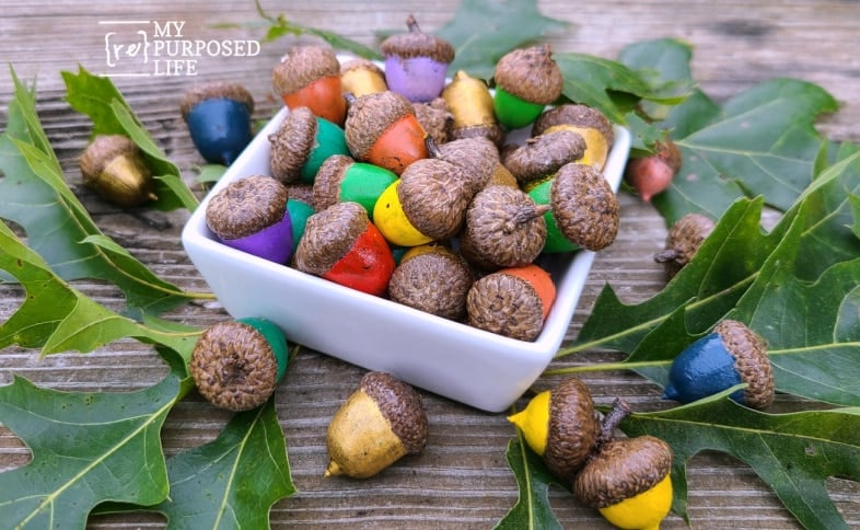 painted acorns in a dish MyRepurposedLife