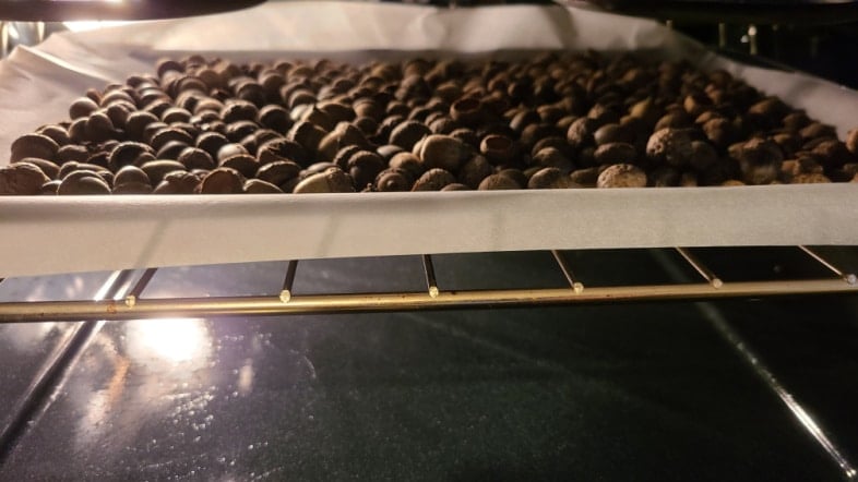 place acorns on cookie sheet