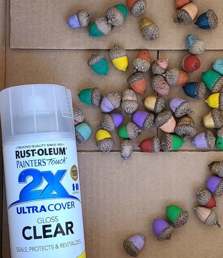 seal painted acorns with gloss