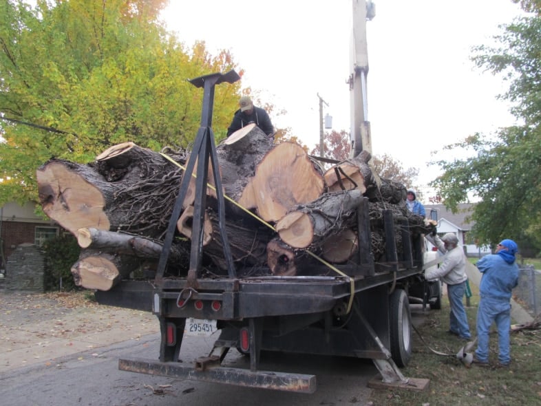 loading large tree on flatbead truck