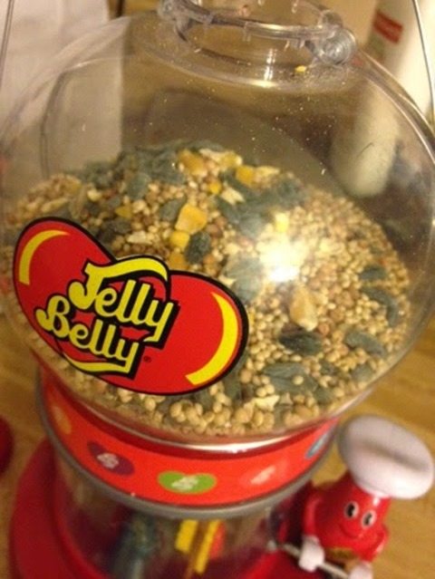 jelly-belly-birdfeeder