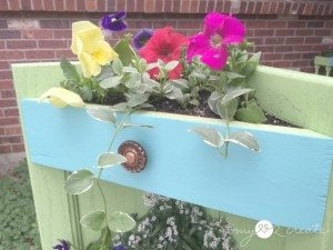close up of top planter