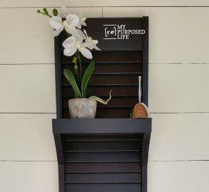 bi-fold door vertical shutter shelf