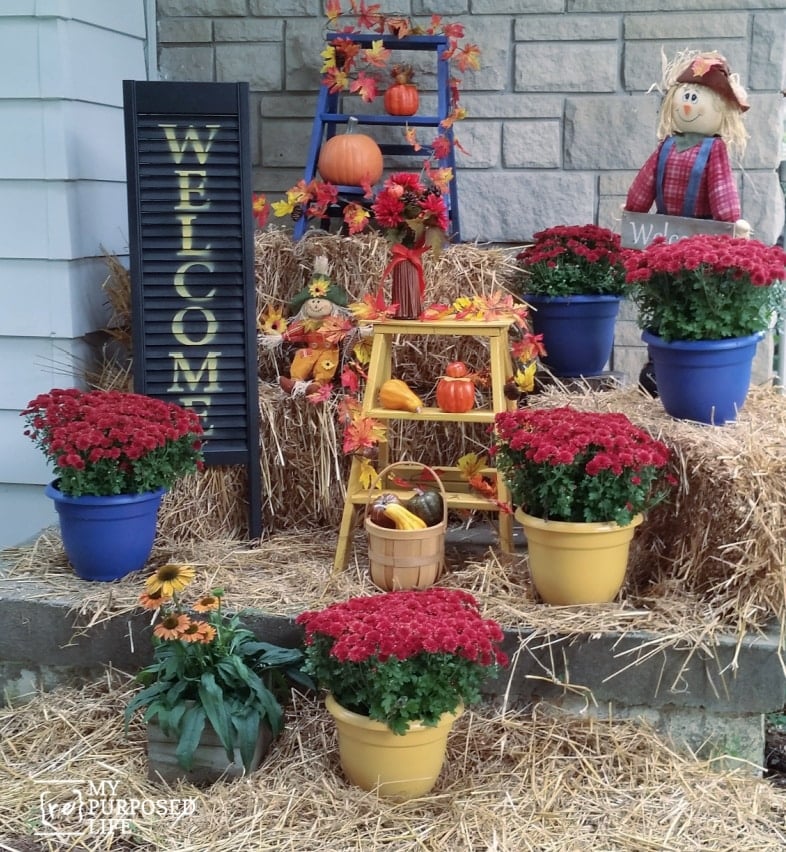 festive fall porch with mums and scarecrows