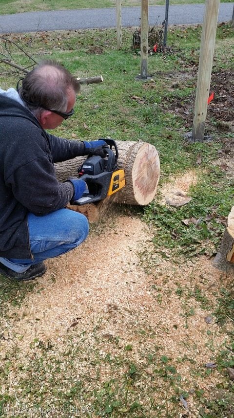 cutting wood slice with chain saw