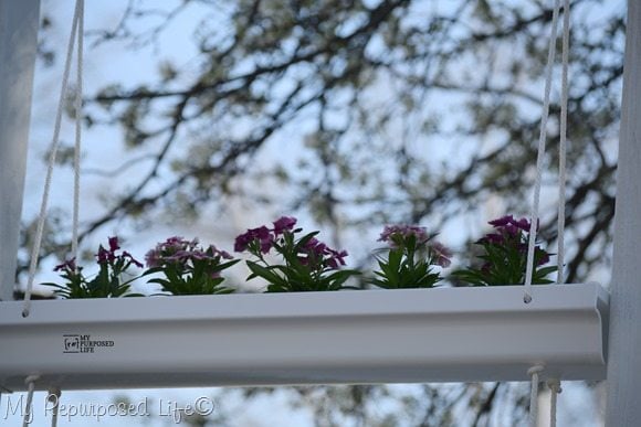 MyRepurposedLife.com hanging gutter planter from Home Depot