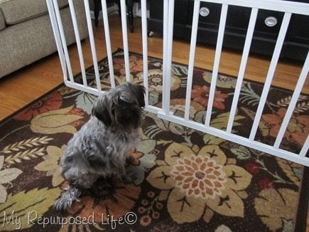 dog-gate-repurposed-crib-rails