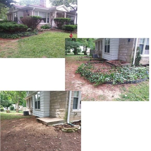 before-after-ugly-bushes