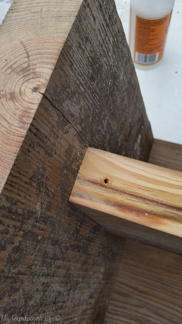 drill pilot hole drill pilot hole