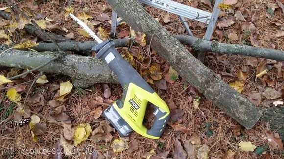trimming a tree with a sawzall