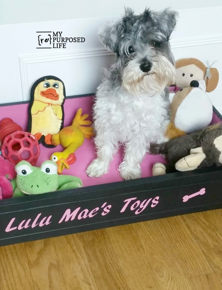 Repurposed Drawer Dog Bed toy Box