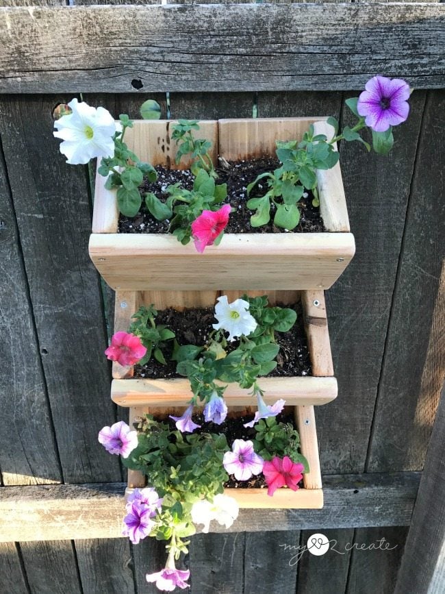 Front top view of cedar hanging planter