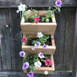 Full front of hanging planter