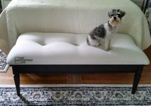 Coffee Table Bench Easy Button Tufted Upholstery eBook