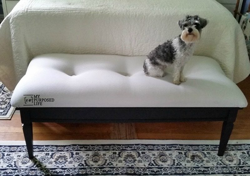 repurposed coffee table upholstered end of bed bench for pets MyRepurposedLife.com