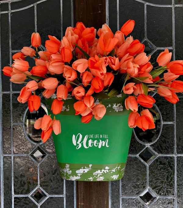 Bucket-of-tulips-for-the-door