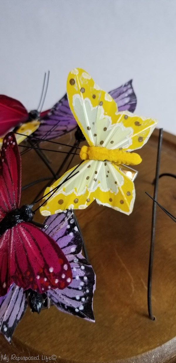 test fit paper butterflies in cheese cloche