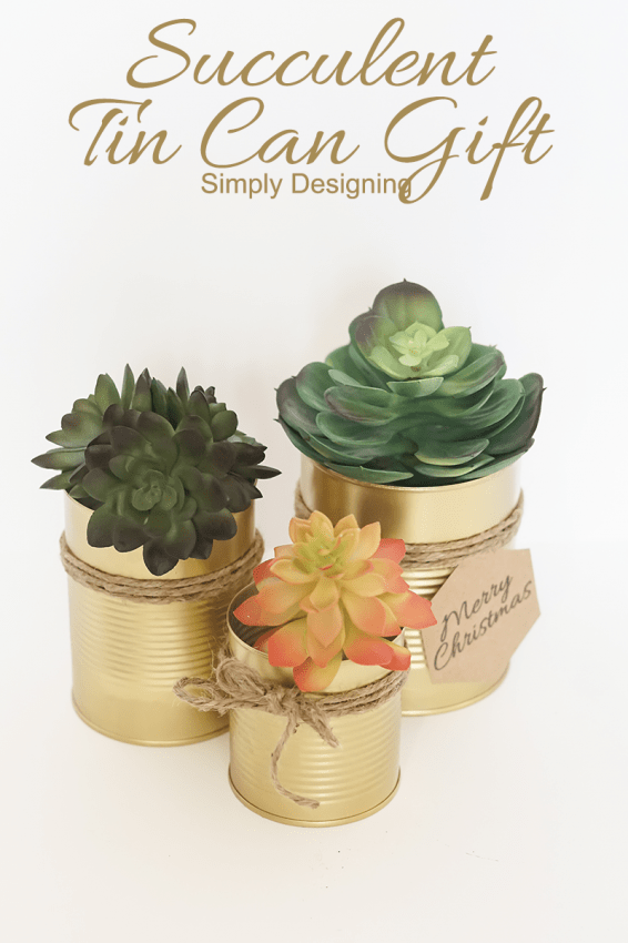 Succulent-Tin-Can-Gift