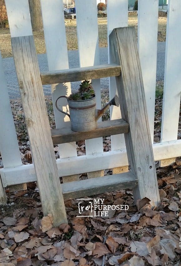 diy-rustic-ladder-plant-display-MyRepurposedLife.com_ diy-rustic-ladder-plant-display-MyRepurposedLife.com_