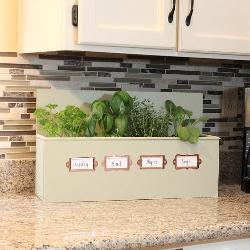 herb planter on kitchen counter