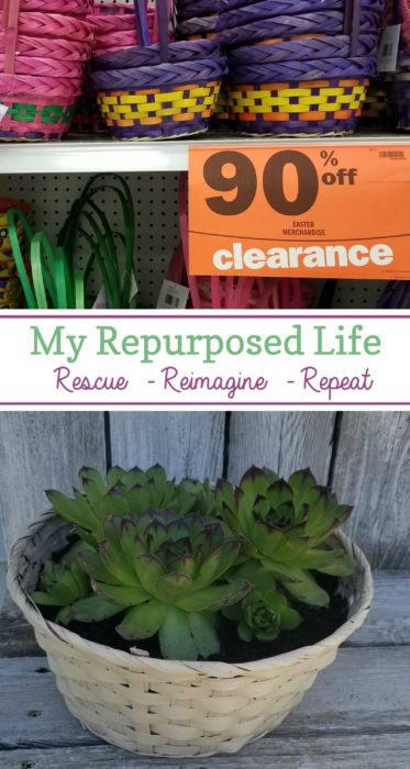 repurposed Easter basket succulent planter - just add paint MyRepurposedLife.com