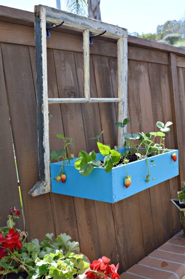 repurposed window planter