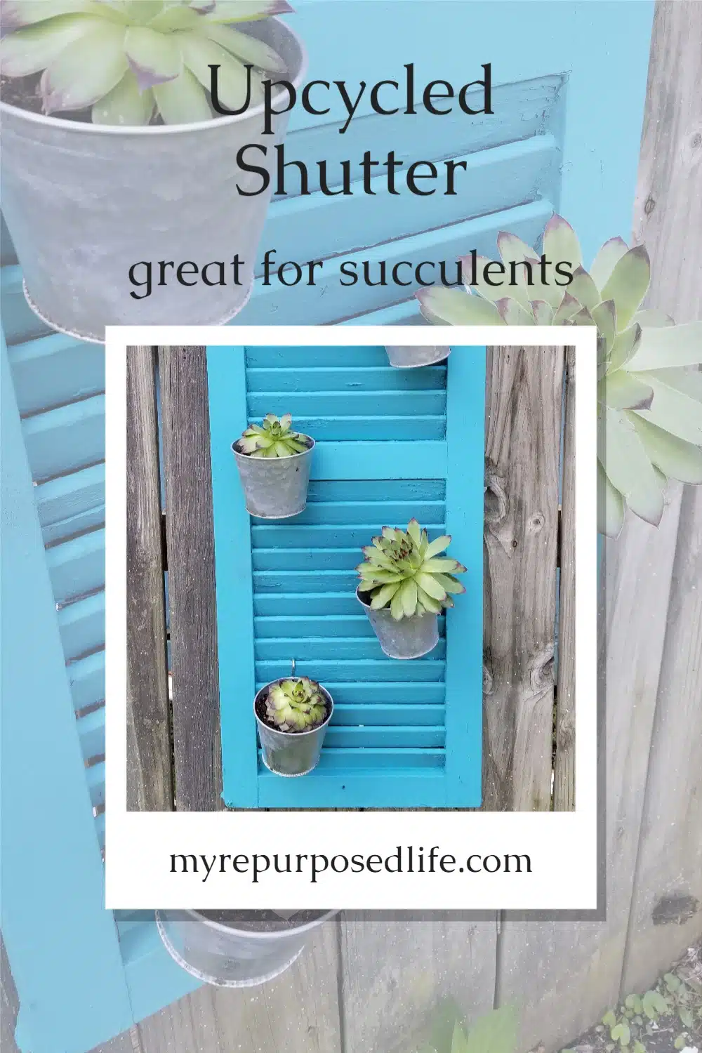 How to repurpose an old shutter as a vertical hanging garden perfect for succulents! Step by step directions will have you making this project in no time! Who doesn't love succulents? #MyRepurposedLife #repurposed #shutter #verticalgarden #outdoor #succulents #planter via @repurposedlife