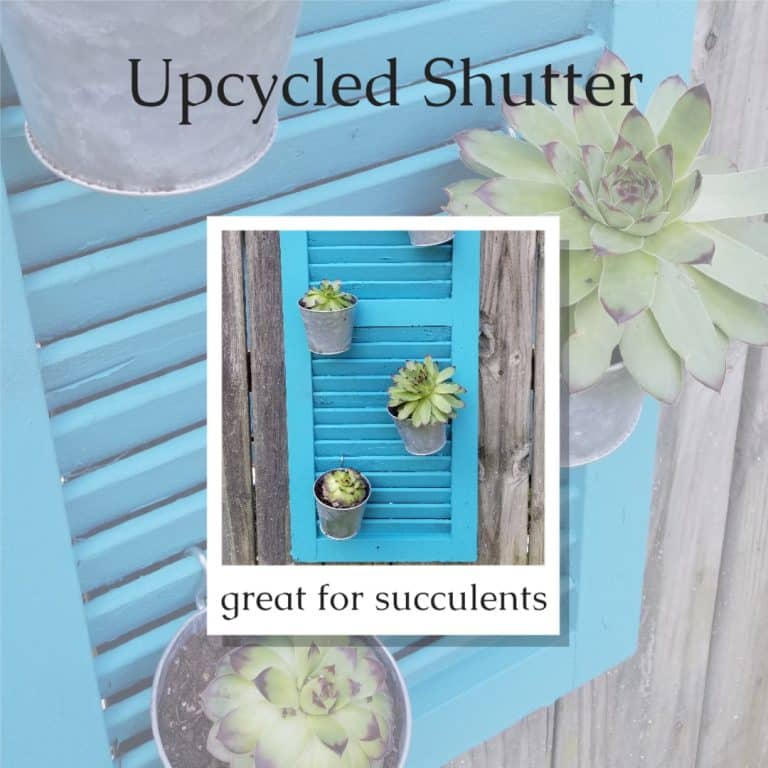 Repurposed Shutter Vertical Garden Succulent Planter