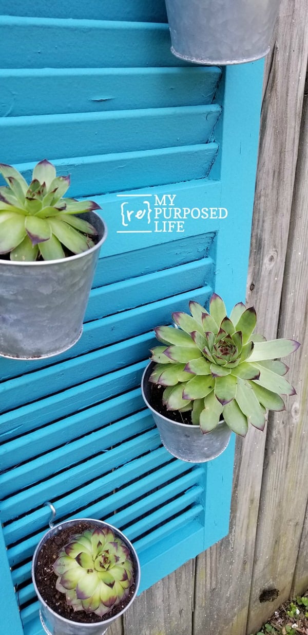 vertical shutter outdoor planter with succulents