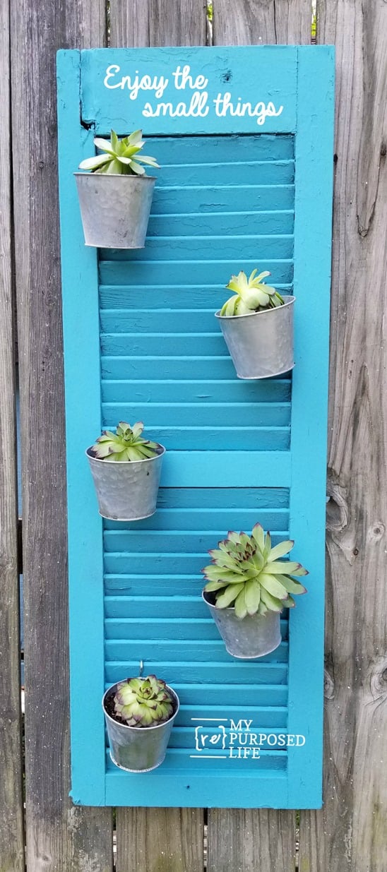 repurposed shutter holding galvanized pots with succulents MyRepurposedLife.com