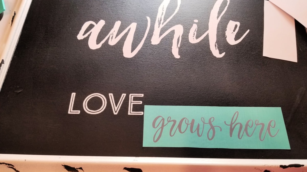 love grows here transfer
