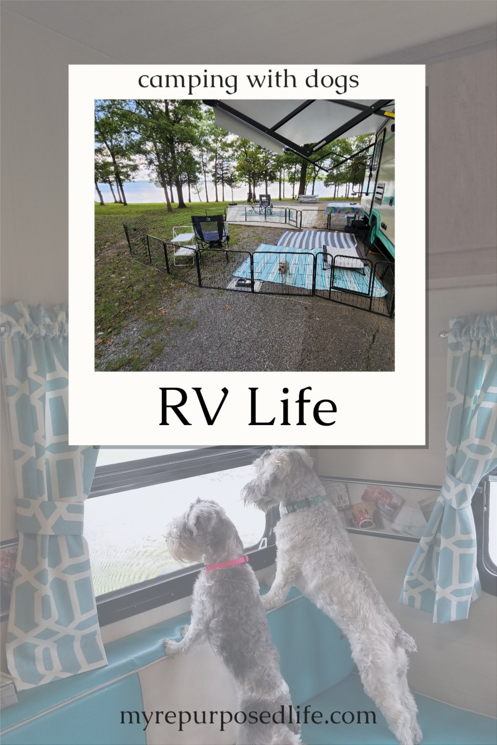 Camping with dogs can be quite rewarding, having man's (woman's) best friend along for the ride. Some aspects can be challenging, I'm here to help you with tips and tricks I've learned along the way. Lots of ideas to improve your experience. #RV #myrepurposedlife via @repurposedlife