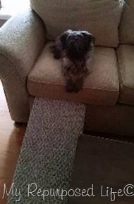 MyRepurposedLife-Louie-indoor-Pet-Ramp MyRepurposedLife-Louie-indoor-Pet-Ramp
