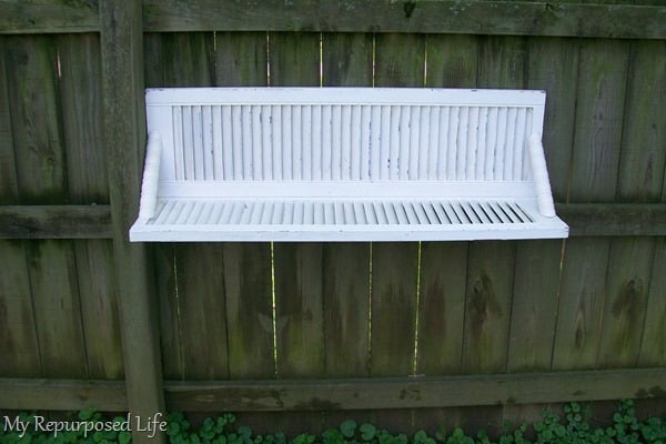 white chippy shutter shelf hanging on weathered privacy fence