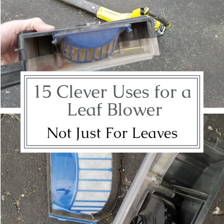 Leaf Blower | Clever Uses | Not Just for Leaves
