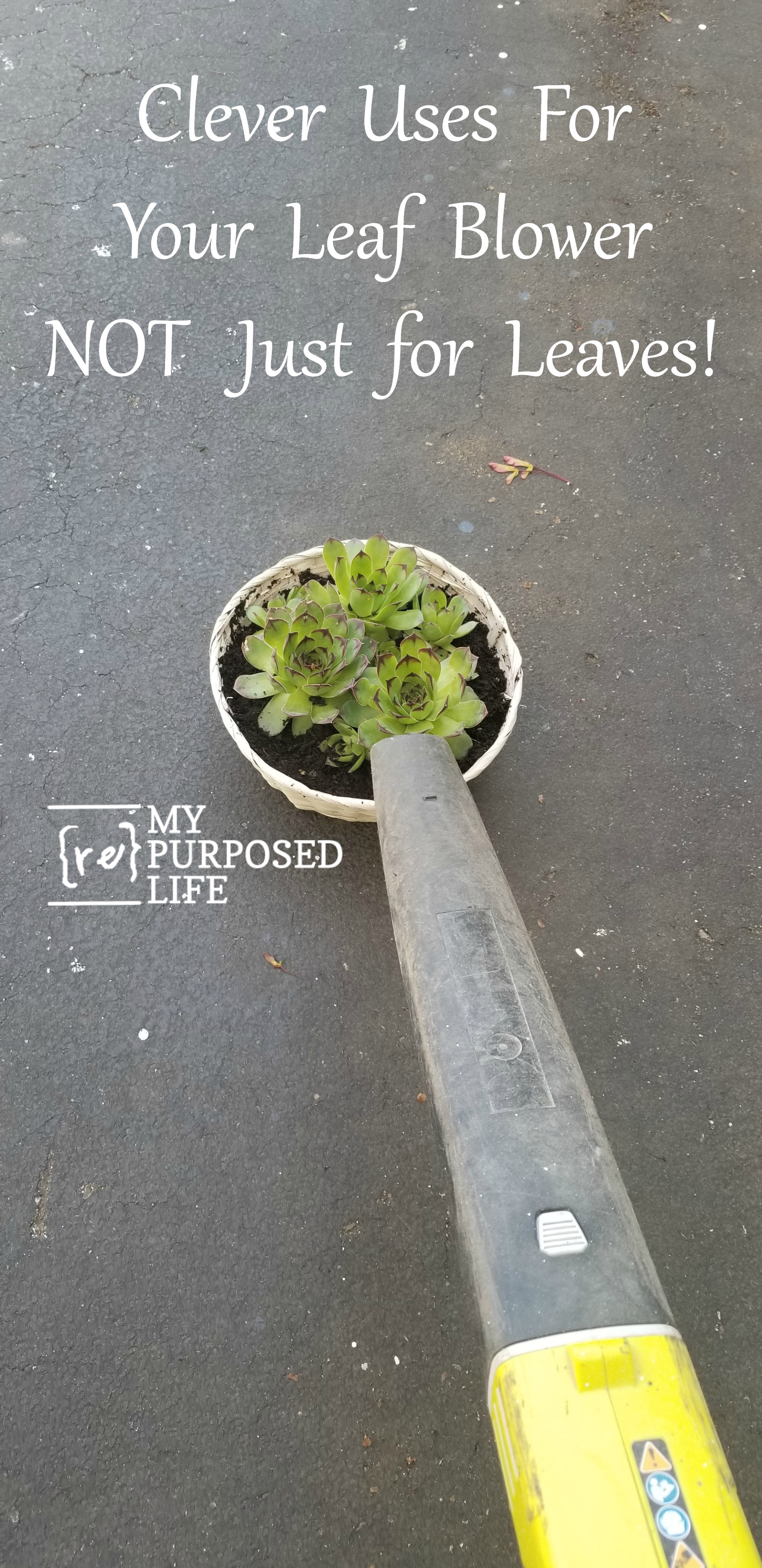 I love my battery operated leaf blower! In fact I have two. I keep one at home and the other lives in the camper. Leaf blowers, not just for leaves! See all my clever uses for leaf blowers in this fun article about all the ways to use a leaf blower. #MyRepurposedLife via @repurposedlife