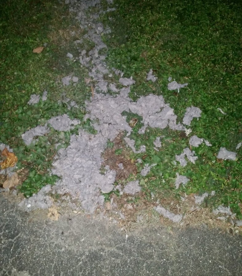 dryer lint can be hazardous - clean out your dryer vent