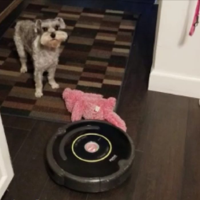 Irobot cleaning, care, maintenance of your Roomba