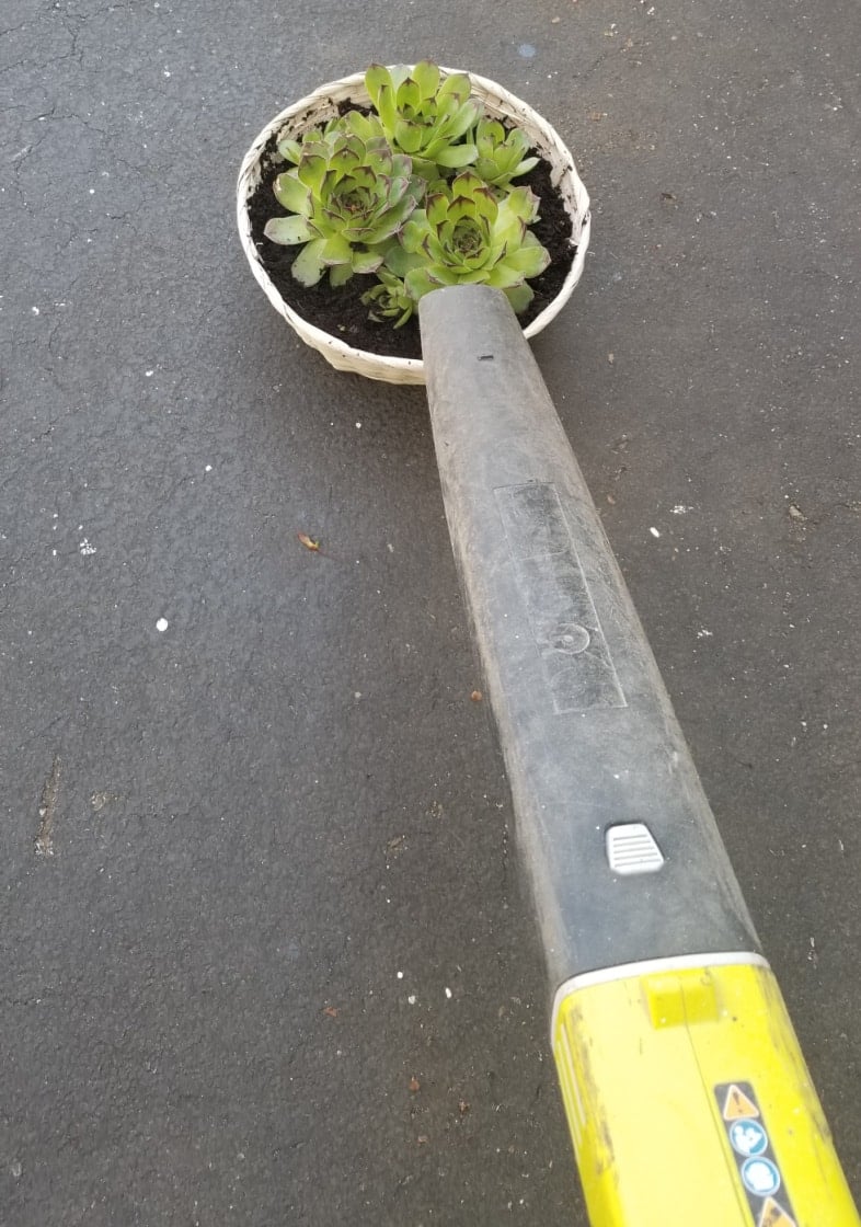 leaf blower for potting plants