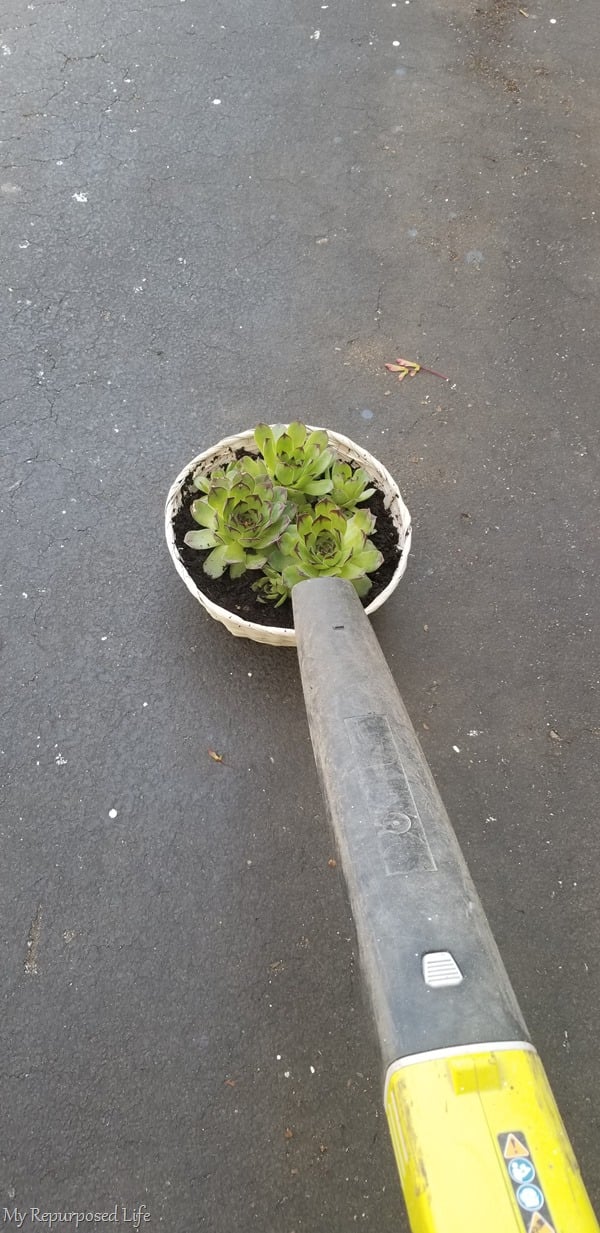 leaf blower for potting plants
