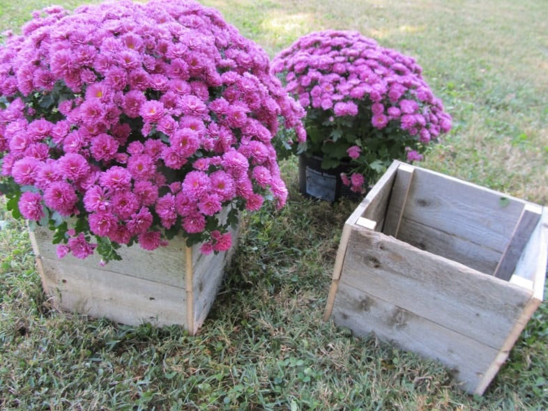 rustic wooden box to cover up plastic flower pot